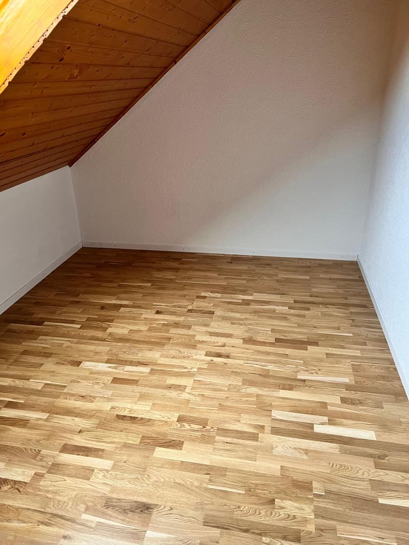 Well-maintained two-family house in a quiet location (9)