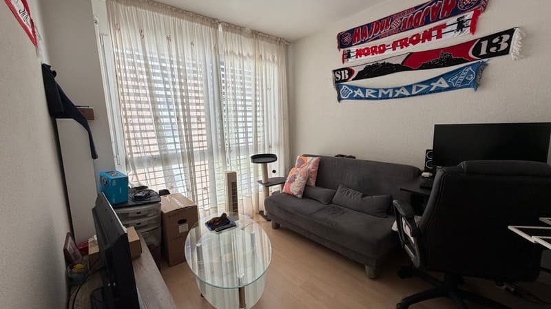 Apartment 4.5 rooms in Sion (4)