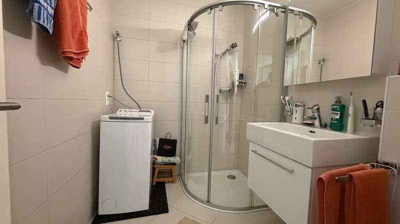 Apartment 4.5 rooms in Sion (8)