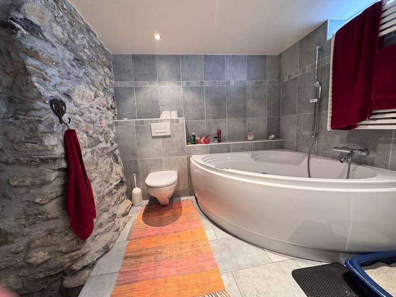 Maison mitoyenne rénovée vente résidence secondaire autorisé (9)