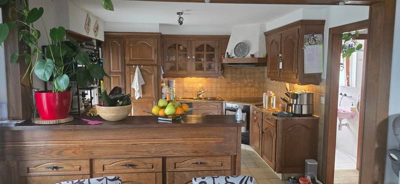 Villa mit 2 Apartments in Nendaz (2)