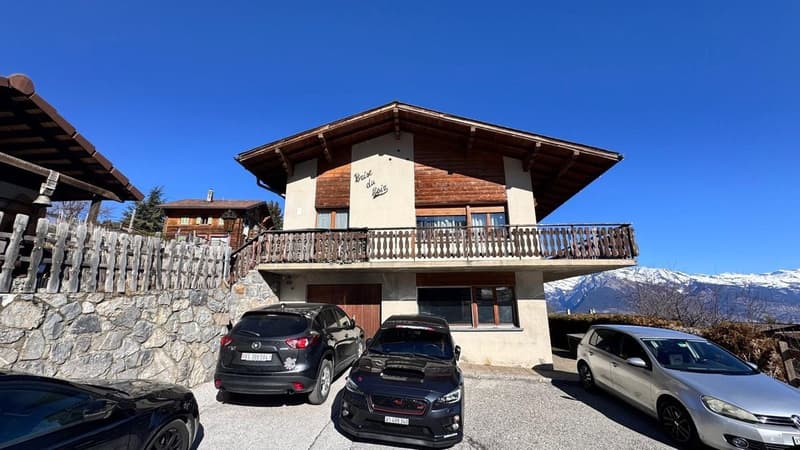 Villa mit 2 Apartments in Nendaz (1)