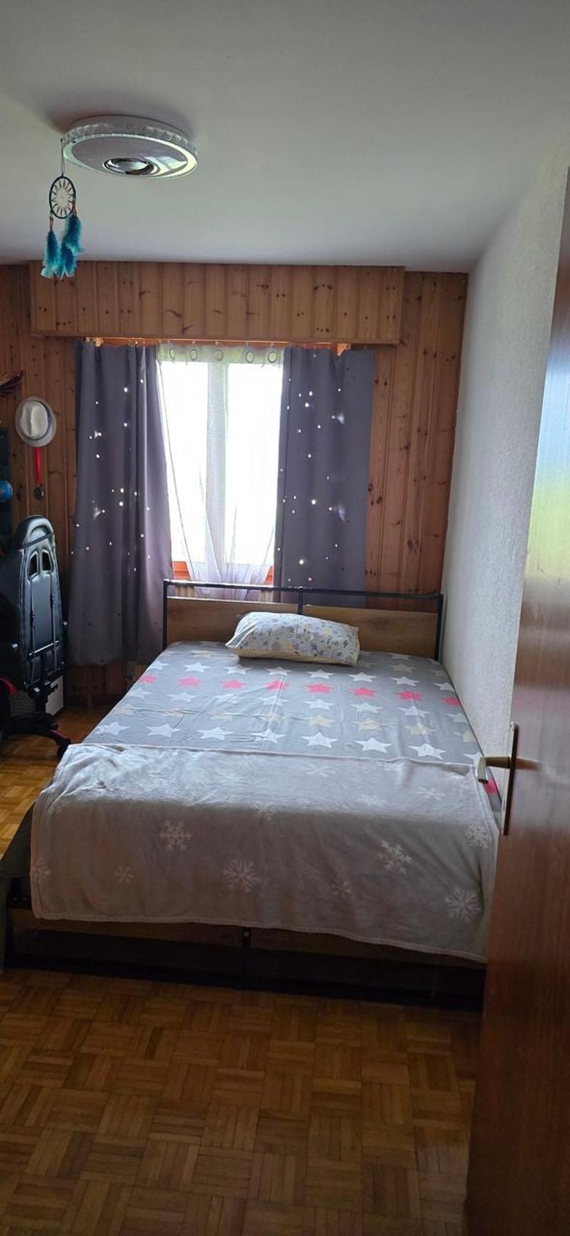 Villa mit 2 Apartments in Nendaz (4)
