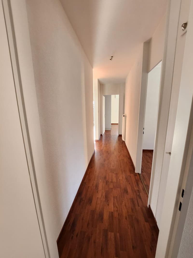 Appartement 4.5 pces à sion (5)