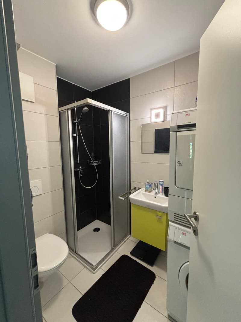 Appartement 3,5 pces à Vétroz (6)