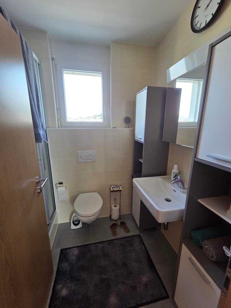 2,5 Zimmer-Wohnung in Conthey im Dachgeschoss (4)