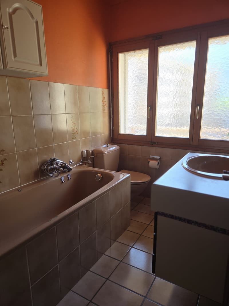 Appartement 4.5 pces à Sion (7)