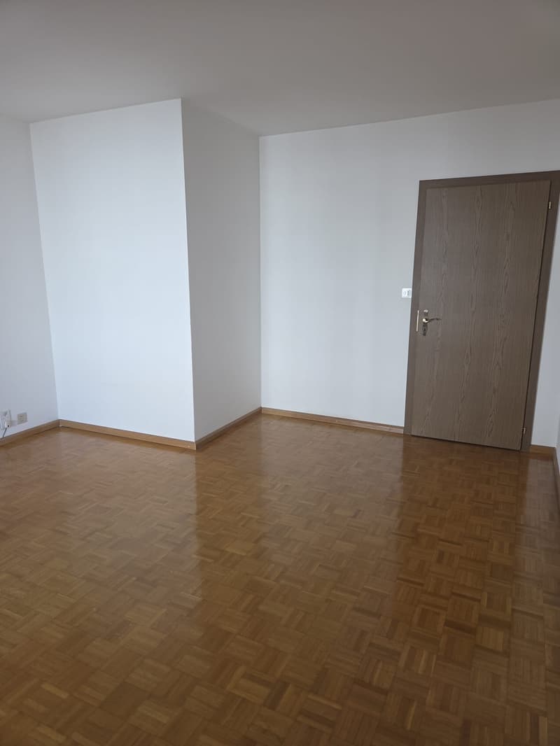 Appartement 4.5 pces à Sion (4)