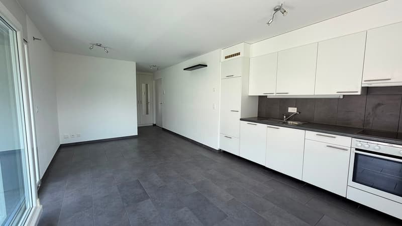 Large studio in Vétroz (2)