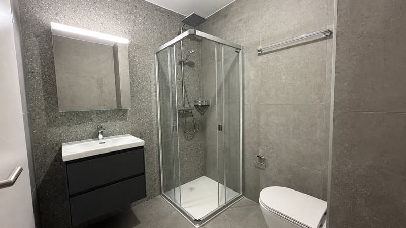 Neue 2.5-Zimmer-Wohnung in Ardon (4)