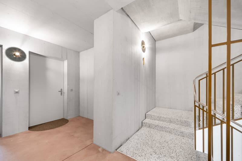 Neubauwohnung in Uster zu vermieten (9)