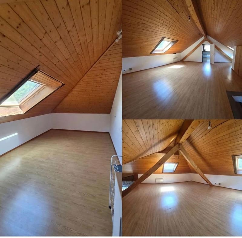 Splendido duplex in affitto - libero da subito (5)