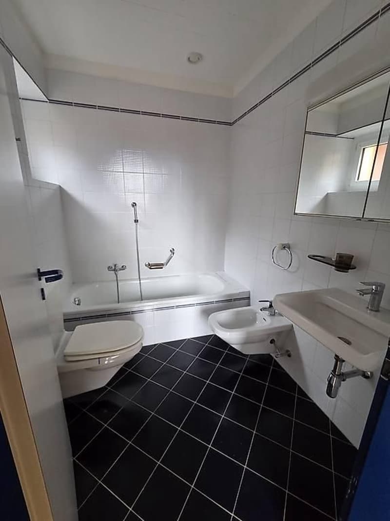 Splendido duplex in affitto - libero da subito (6)