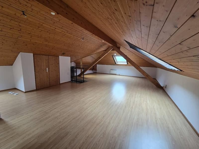 Splendido duplex in affitto - libero da subito (2)