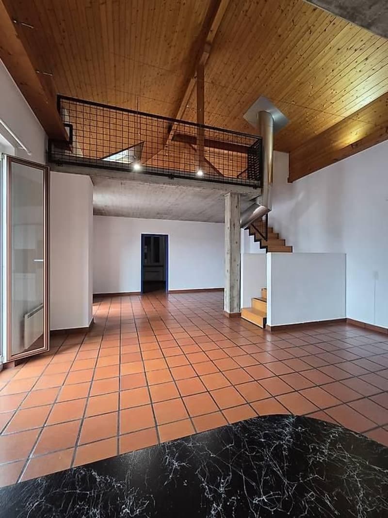 Splendido duplex in affitto - libero da subito (1)