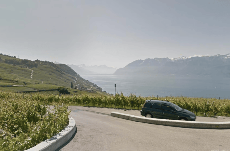 Vineyard in Bourg-en-Lavaux with Stunning Lake Views (3)