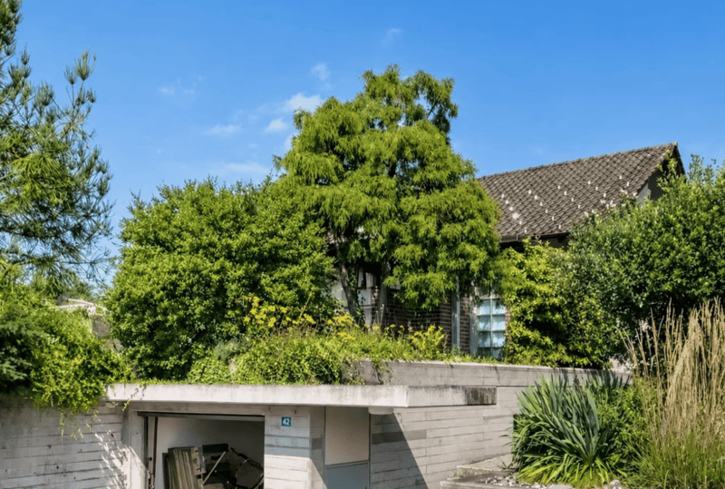 Charming 6-room single-family house with pool and Alpine view in Rüti (1)