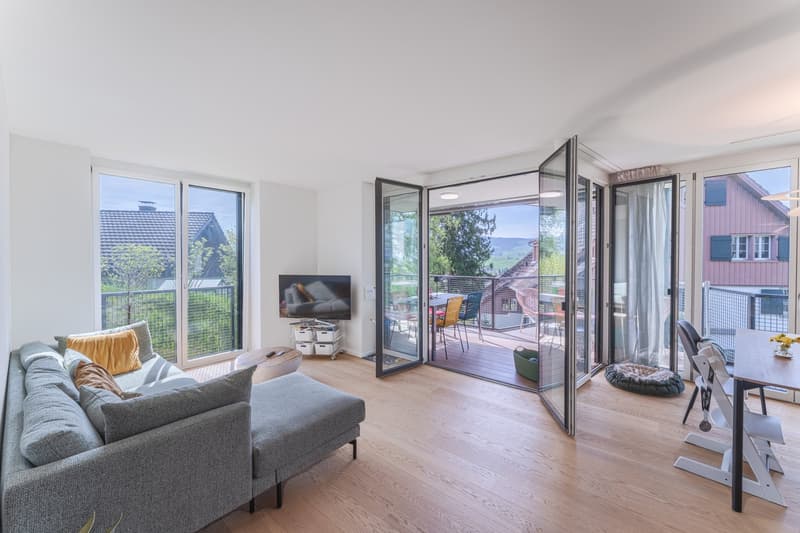 modern living room with large windows, balcony, gray sofa, TV, wooden floor, dining table