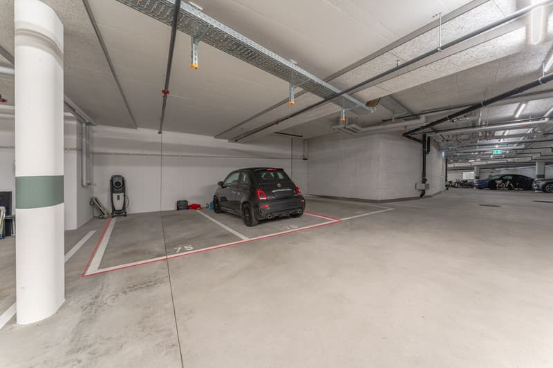 Maisonette familiale de 5½ pièces Minergie avec 2 places de garage dans un standard de construction exclusif (25)