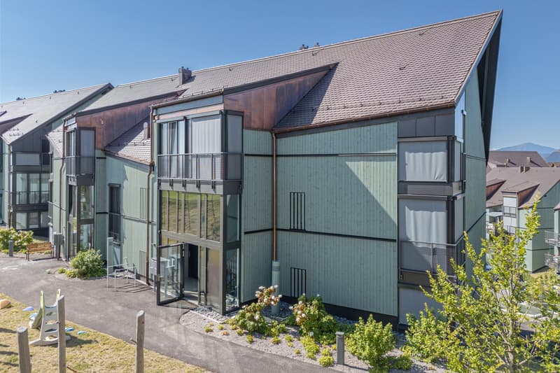 Maisonette familiale de 5½ pièces Minergie avec 2 places de garage dans un standard de construction exclusif (20)