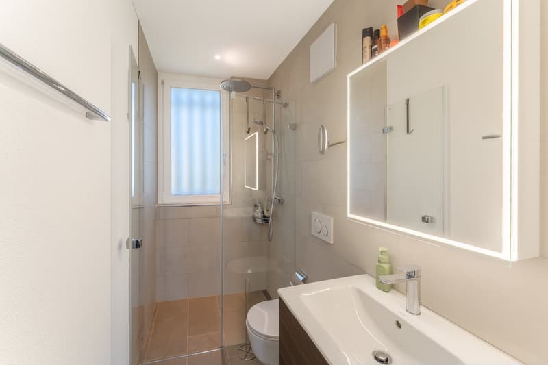 Maisonette familiale de 5½ pièces Minergie avec 2 places de garage dans un standard de construction exclusif (21)