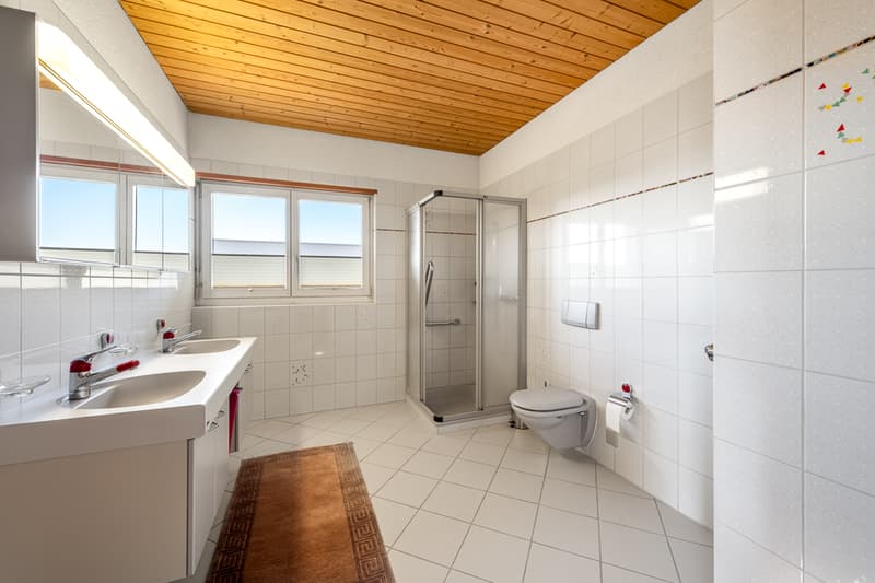 Dusche WC Dachwhg