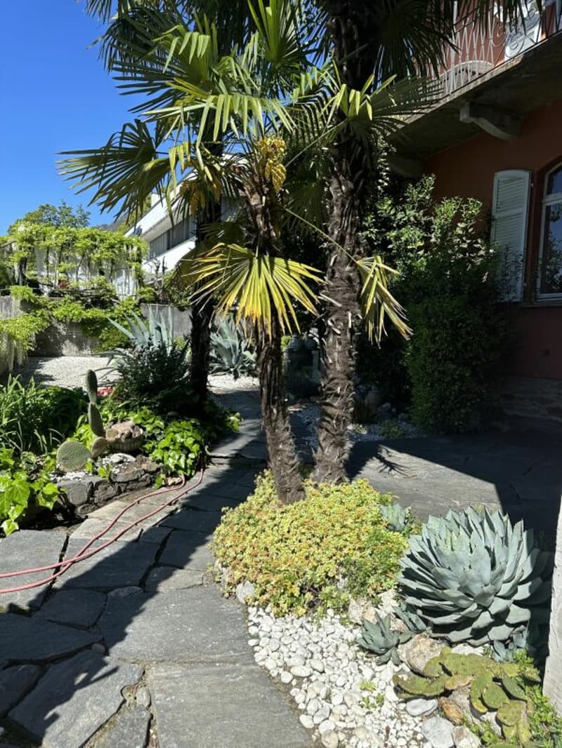 Garten-Wohnung mit Cheminée & Pergola (13)