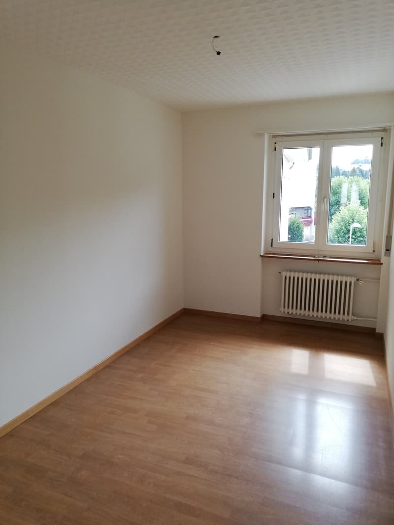 Empty room with white walls, wooden floor, white ceiling, window with view, radiator