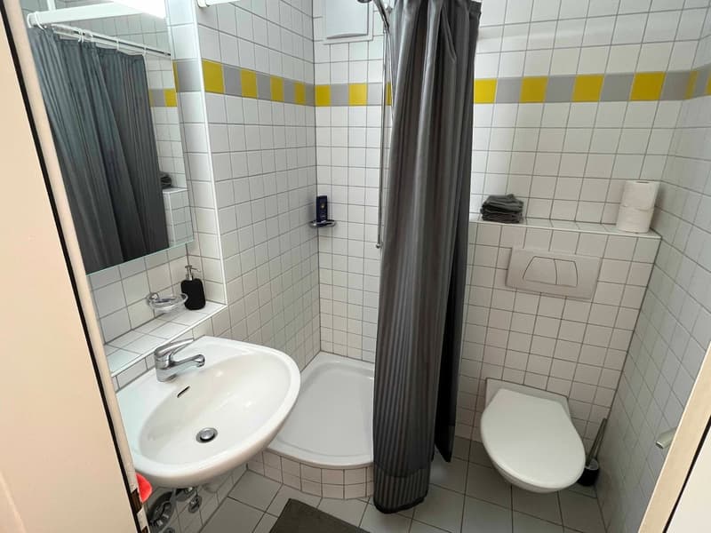 small bathroom, sink, shower, toilet, mirror, shelf with toilet paper