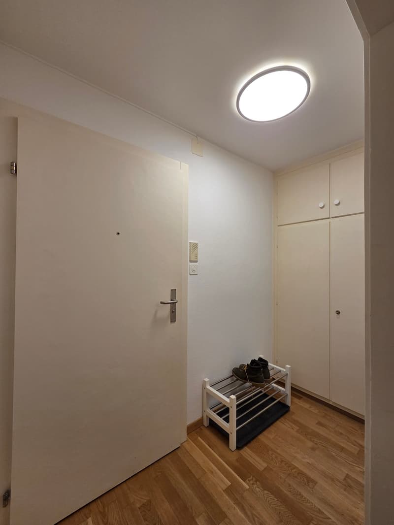 Hallway with shoe rack, wooden floor, white ceiling, light fixture, white door, white cabinets.