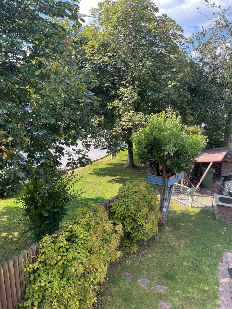 Backyard garden with tall trees, a small treehouse, grass, a shed, a wooden fence, and a car parked