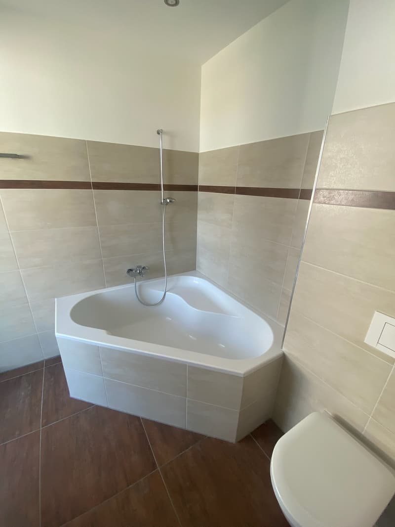 Bright 4.5-room apartment in Felben-Wellhausen – available immediately! (7)