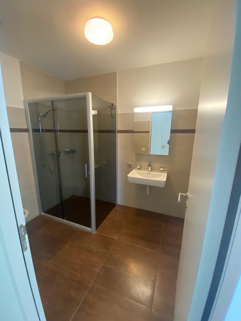 Bright 4.5-room apartment in Felben-Wellhausen – available immediately! (8)