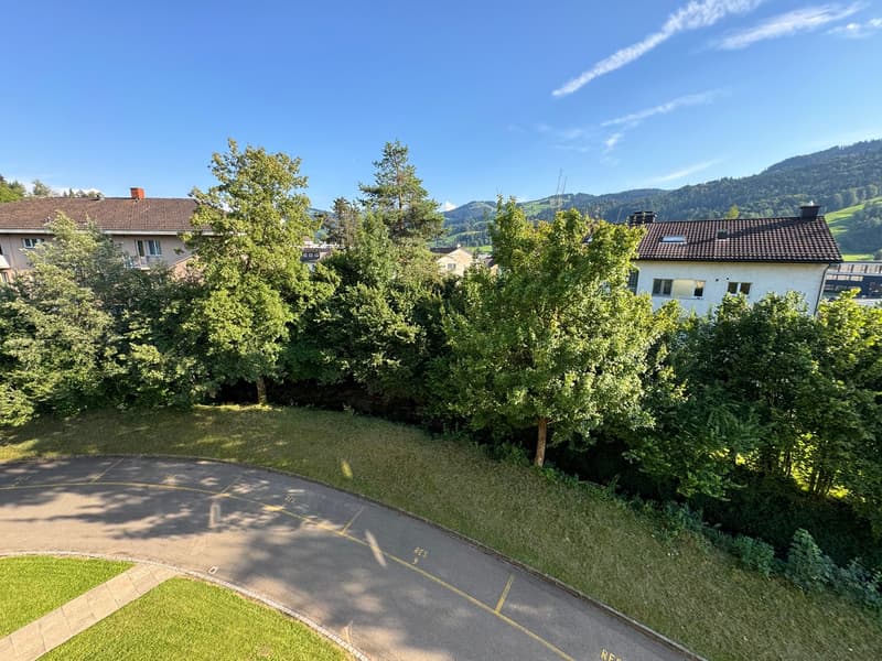 Charmante 3.5 Zimmerwohnung in Ebnat-Kappel (12)