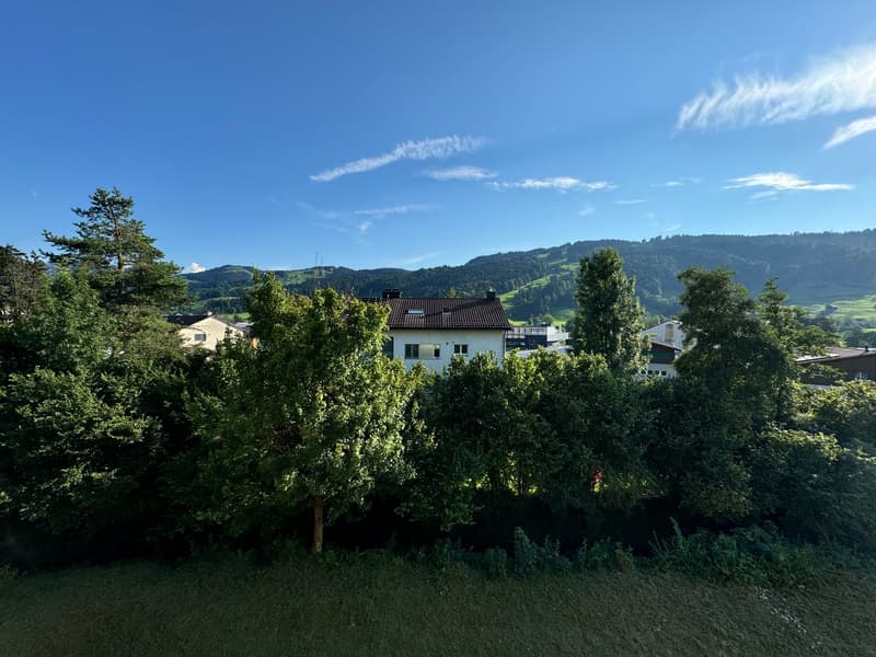 Charmante 3.5 Zimmerwohnung in Ebnat-Kappel (11)
