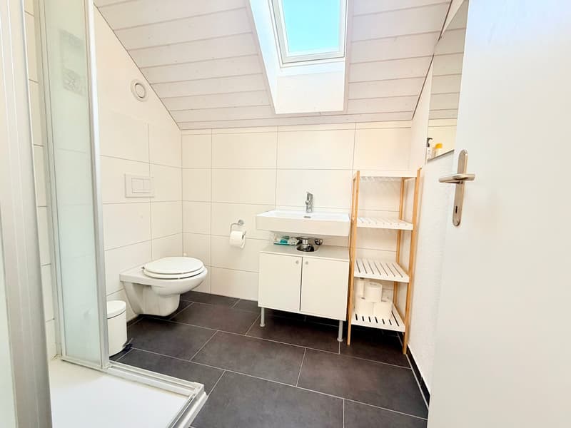 Lichtdurchflutete 4.5-Zimmer-Maisonette-Wohnung (8)