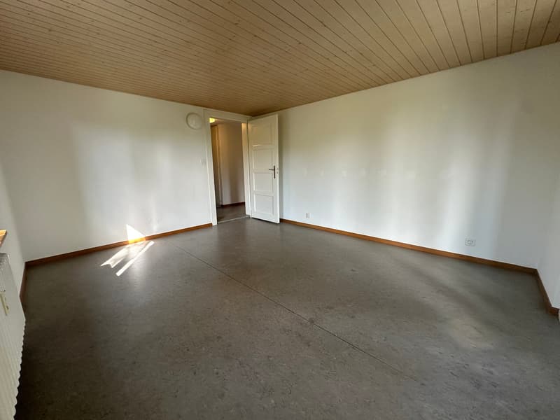 Incantevole appartamento di 3 locali in un edificio storico con balcone a Roggwil – disponibile immediatamente! (10)