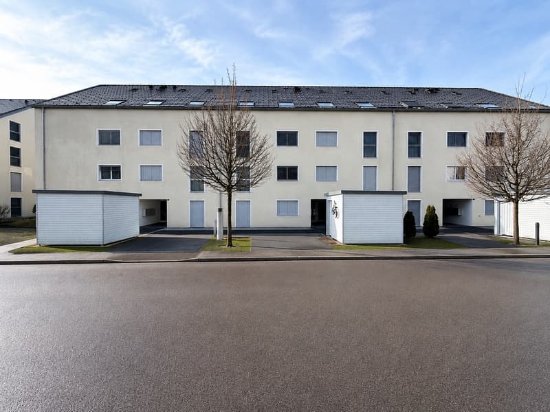 Appartement-maisonnette de 4,5 pièces inondé de lumière (1)