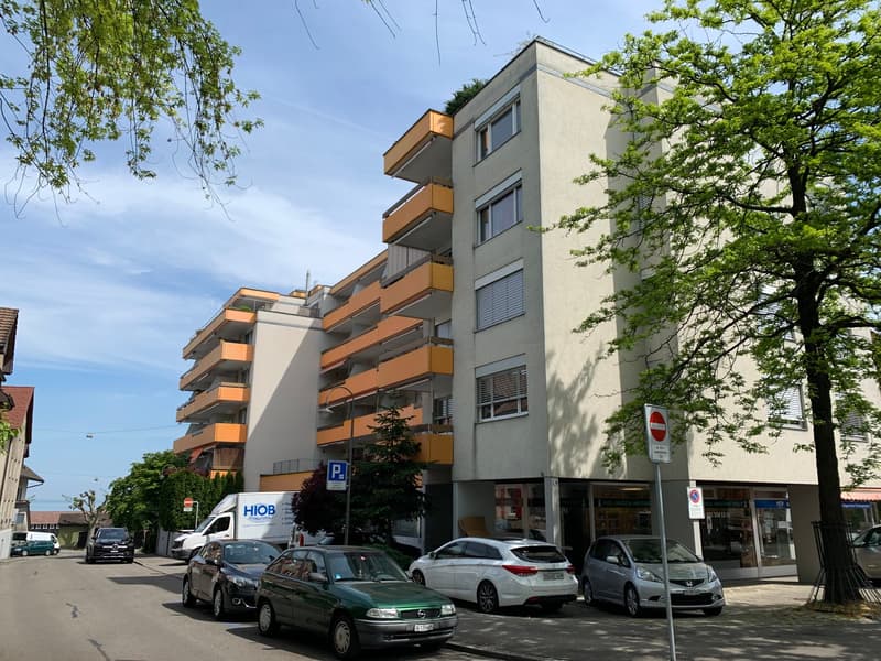Bright 1-room apartment with balcony and lake view in Rorschach (4)