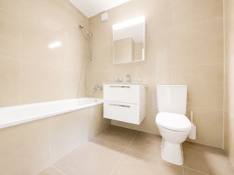 Appartement de rêve 3.5 pièces (6)