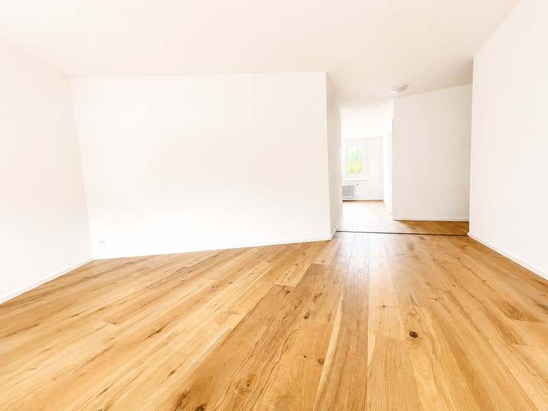 Appartement de rêve 3.5 pièces (2)
