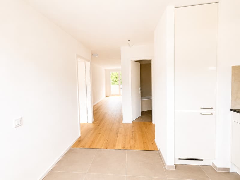 Appartement de rêve 3.5 pièces (4)