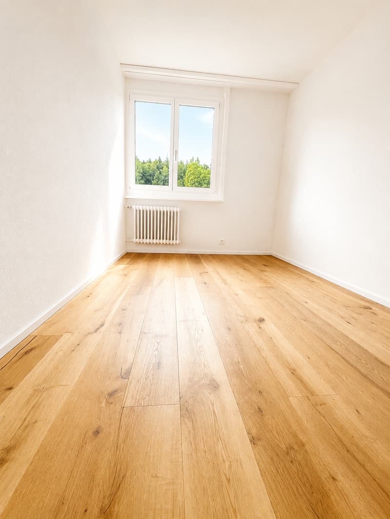 Appartement de rêve 3.5 pièces (3)
