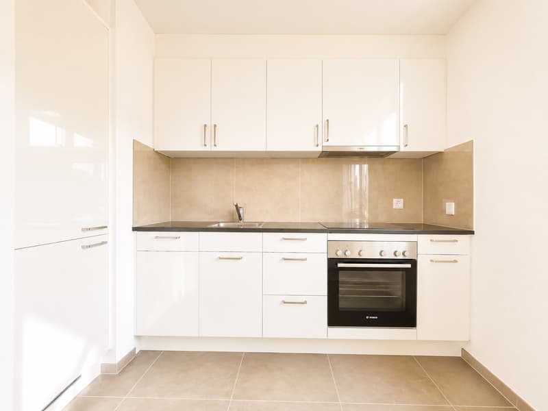 Appartement de rêve 3.5 pièces (5)