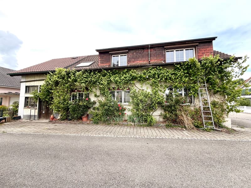 Grosszügiges Einfamilienhaus mit vielseitigen Nutzungsmöglichkeiten (10)