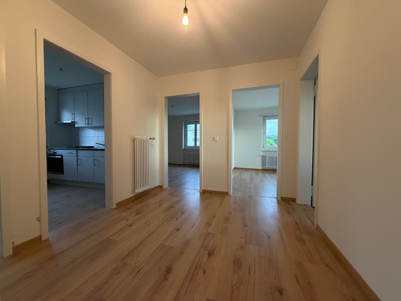 Renovierte 3.5-Zimmer-Wohnung in Zuchwil – sofort verfügbar! (2)