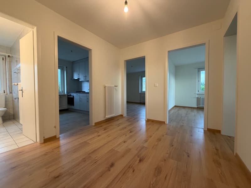 Renovierte 3.5-Zimmer-Wohnung in Zuchwil – sofort verfügbar! (8)