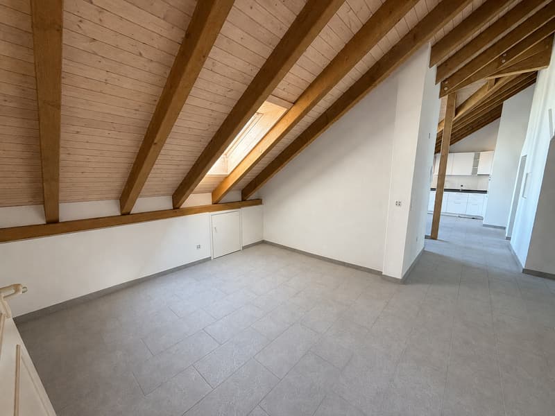 Erstbezug nach hochwertiger Totalsanierung – Moderne Wohnungen an attraktiver Lage in Kreuzlingen (8)