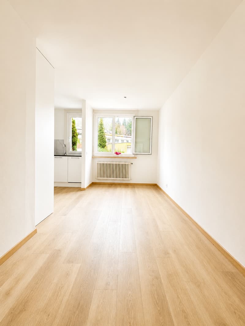 Grosszügige 5.5-Zimmer-Wohnung (5)