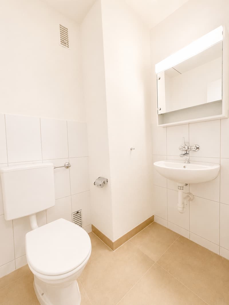 Grosszügige 5.5-Zimmer-Wohnung (9)